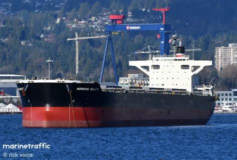 morning vague vessel|Ship MORNING SALUTE (Bulk Carrier) Registered in Panama.